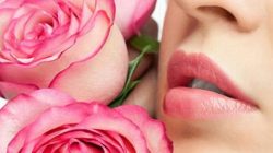 Dưỡng môi bằng mặt nạ hoa hồng