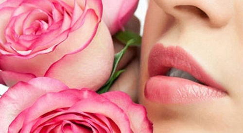Dưỡng môi bằng mặt nạ hoa hồng