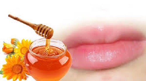 Bôi mật ong trực tiếp lên môi để làm mềm.