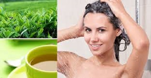 Có nhiều cách để bạn chăm sóc tóc với lá trà xanh.